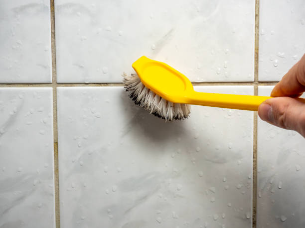 Best Mold Removal Near Me  in Muncy, PA