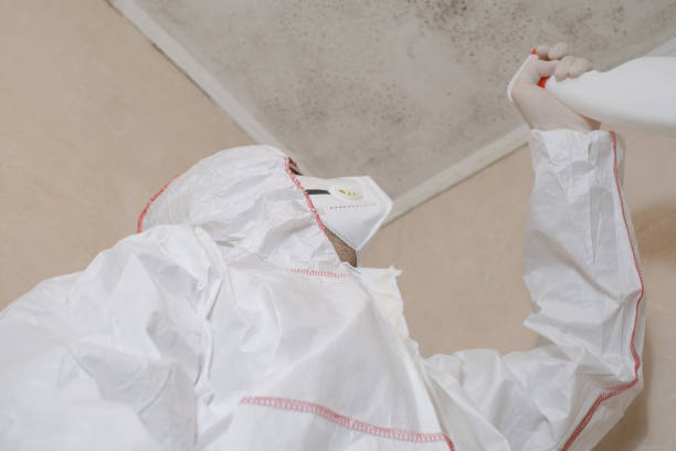 Best Mold Removal Process  in Muncy, PA